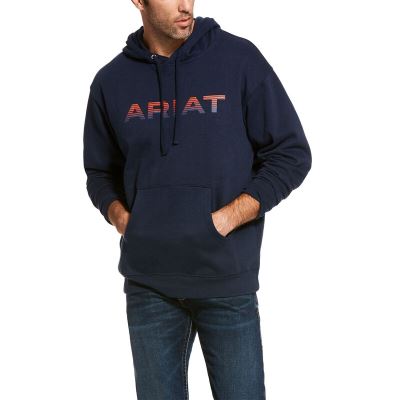 Ariat Graphic Lacivert Kapşonlu Sweatshirt Erkek (12294-938)